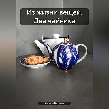 Из жизни вещей. Два чайника