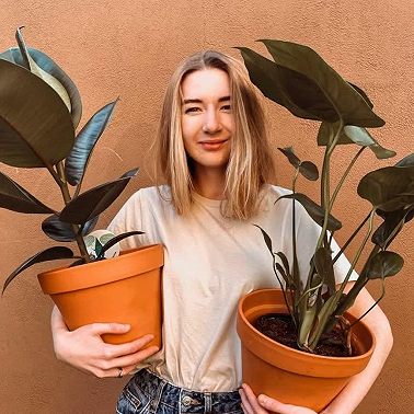 Предметный разговор — история ложечек, вилочек и тарелочек от GoRent