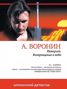 Панкрат. Возвращение в небо