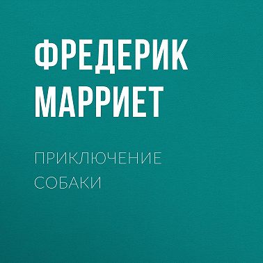 Приключение собаки