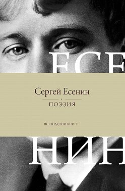 Поэзия. Все в одной книге
