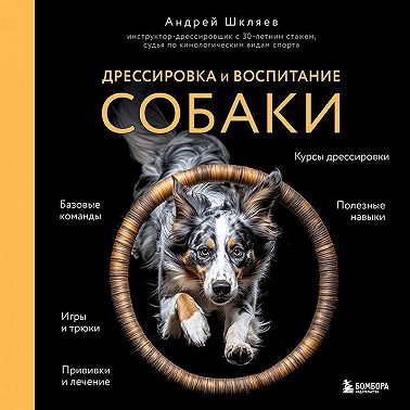 Дрессировка и воспитание собаки