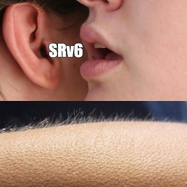 telecom №157. SRv6