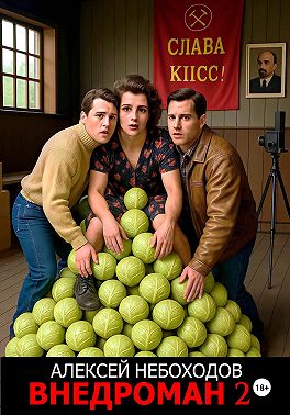 Внедроман 2