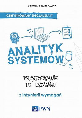 Analityk systemów