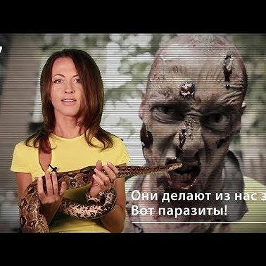 Они делают из нас зомби. Вот паразиты!