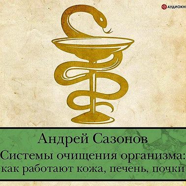 Системы очищения организма: как работают кожа, печень, почки