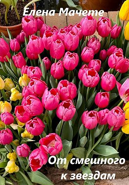 От смешного к звездам