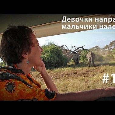 Девочки направо, мальчики налево: планирование семьи у африканских слонов