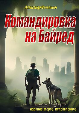 Командировка на Байред (издание второе, исправленное)