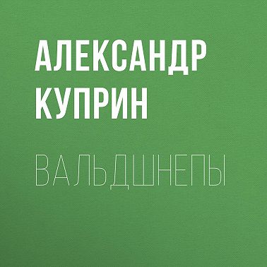 Вальдшнепы