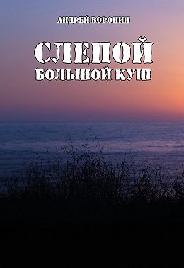 Слепой. Большой куш