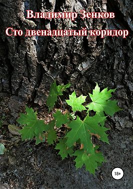 Сто двенадцатый коридор