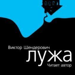 Лужа
