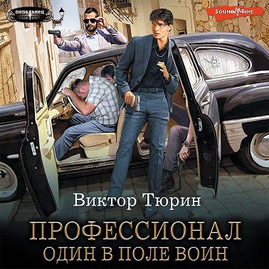 Профессионал. Один в поле воин