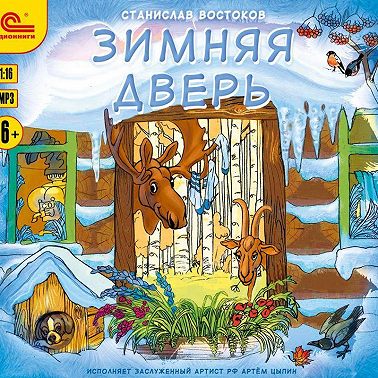 Зимняя дверь