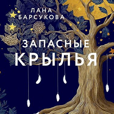 Запасные крылья