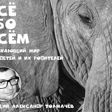 Как зимуют насекомые?