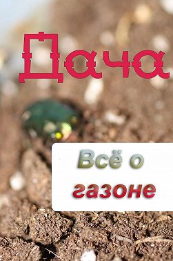 Всё о газоне