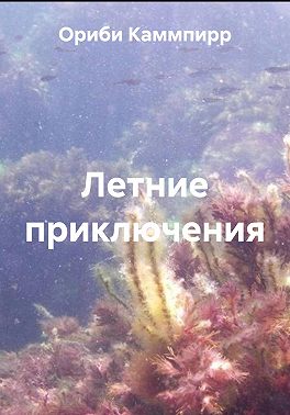 Летние приключения