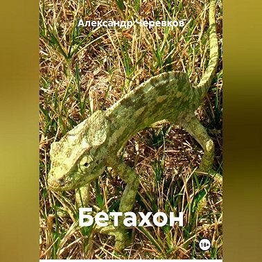 Бетахон-Security-Безопасность