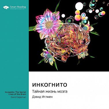 Инкогнито. Тайная жизнь мозга. Дэвид Иглмен. Саммари