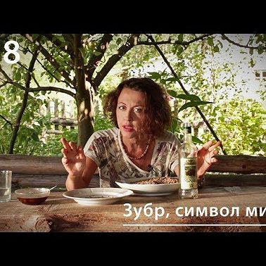 Зубр, символ мира