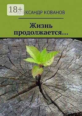 Жизнь продолжается…