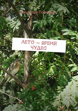 Лето – время чудес