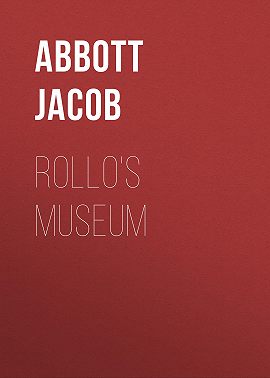 Rollo's Museum
