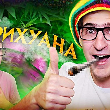 Марихуана. Все что нужно знать