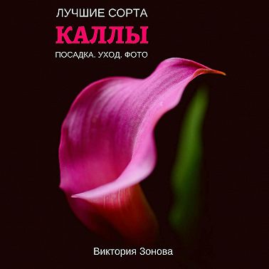 Каллы. Лучшие сорта