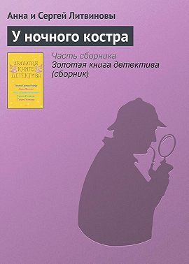 У ночного костра
