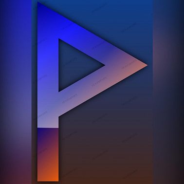 Тайна черного леса