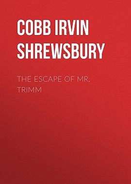 The Escape of Mr. Trimm