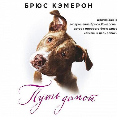 Путь домой