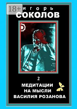 Медитации на мысли Василия Розанова. том 2