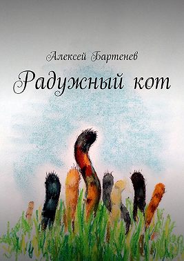 Радужный кот