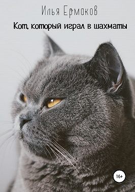 Кот, который играл в шахматы