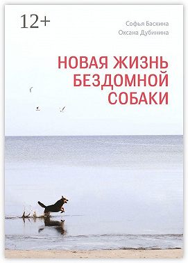 Новая жизнь бездомной собаки
