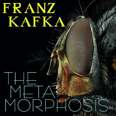 The Metamorphosis
