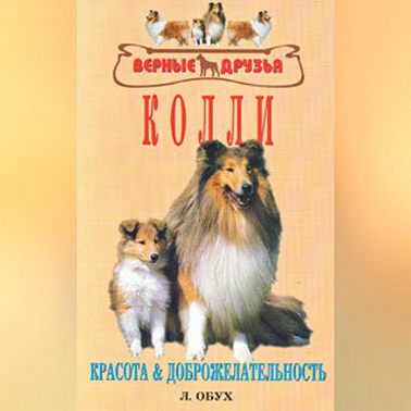 Колли