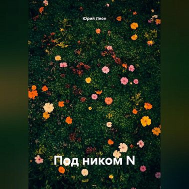 Под ником N