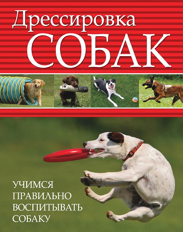 Собака читает книгу картинки