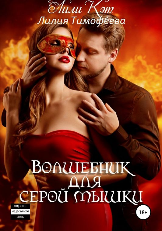 «Волшебник для серой мышки» читать онлайн книгу📙 автора